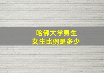 哈佛大学男生女生比例是多少