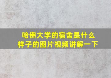 哈佛大学的宿舍是什么样子的图片视频讲解一下