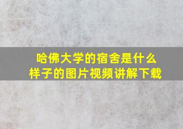 哈佛大学的宿舍是什么样子的图片视频讲解下载