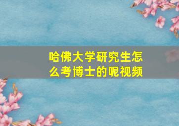 哈佛大学研究生怎么考博士的呢视频