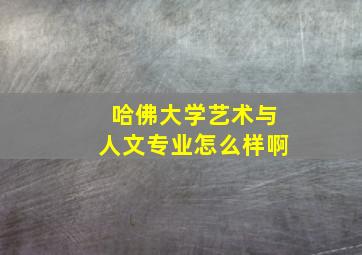 哈佛大学艺术与人文专业怎么样啊