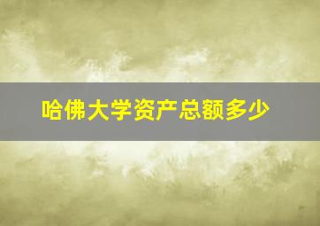 哈佛大学资产总额多少