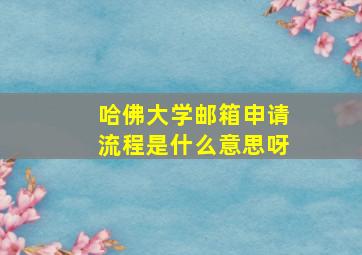 哈佛大学邮箱申请流程是什么意思呀