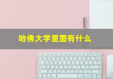 哈佛大学里面有什么