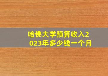 哈佛大学预算收入2023年多少钱一个月