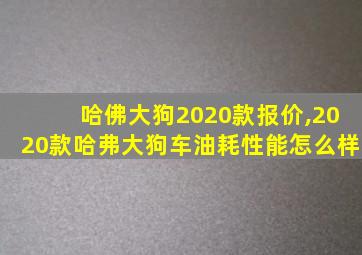 哈佛大狗2020款报价,2020款哈弗大狗车油耗性能怎么样