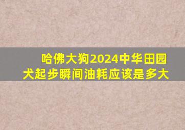 哈佛大狗2024中华田园犬起步瞬间油耗应该是多大