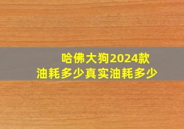 哈佛大狗2024款油耗多少真实油耗多少