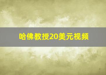 哈佛教授20美元视频