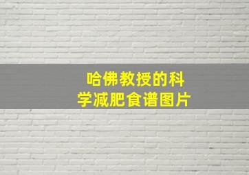 哈佛教授的科学减肥食谱图片