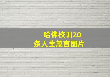 哈佛校训20条人生箴言图片