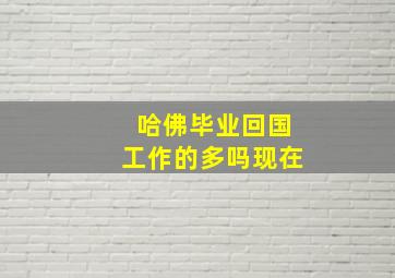 哈佛毕业回国工作的多吗现在