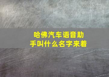 哈佛汽车语音助手叫什么名字来着