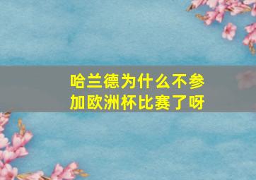 哈兰德为什么不参加欧洲杯比赛了呀