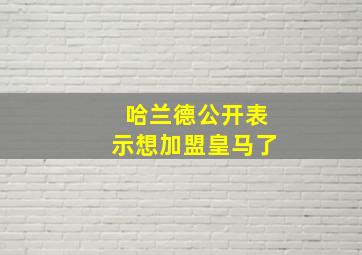 哈兰德公开表示想加盟皇马了