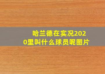 哈兰德在实况2020里叫什么球员呢图片