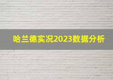 哈兰德实况2023数据分析