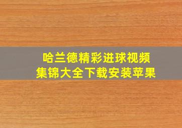 哈兰德精彩进球视频集锦大全下载安装苹果