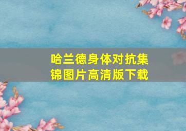 哈兰德身体对抗集锦图片高清版下载