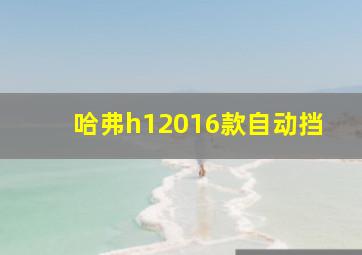 哈弗h12016款自动挡