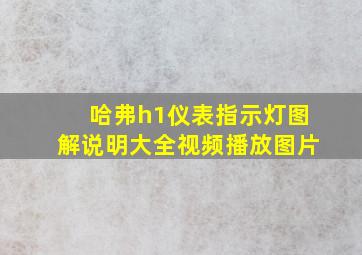 哈弗h1仪表指示灯图解说明大全视频播放图片