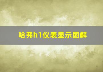 哈弗h1仪表显示图解