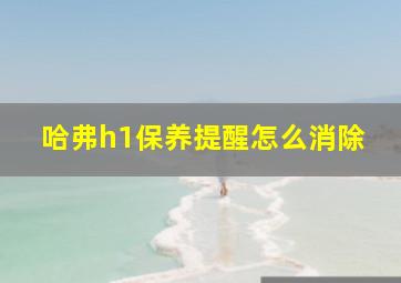 哈弗h1保养提醒怎么消除