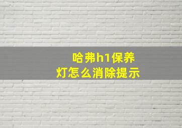 哈弗h1保养灯怎么消除提示