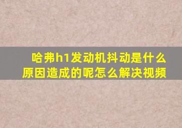 哈弗h1发动机抖动是什么原因造成的呢怎么解决视频