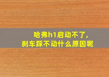 哈弗h1启动不了,刹车踩不动什么原因呢