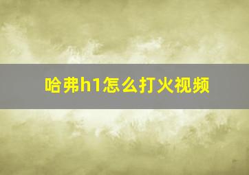 哈弗h1怎么打火视频