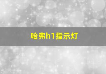 哈弗h1指示灯