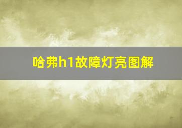 哈弗h1故障灯亮图解