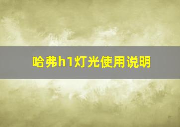 哈弗h1灯光使用说明