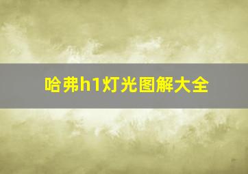 哈弗h1灯光图解大全