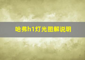 哈弗h1灯光图解说明