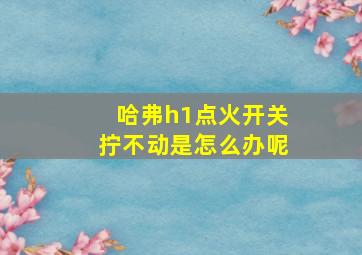 哈弗h1点火开关拧不动是怎么办呢