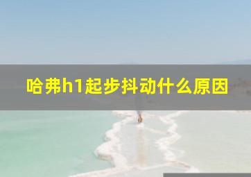 哈弗h1起步抖动什么原因