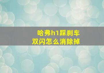 哈弗h1踩刹车双闪怎么消除掉