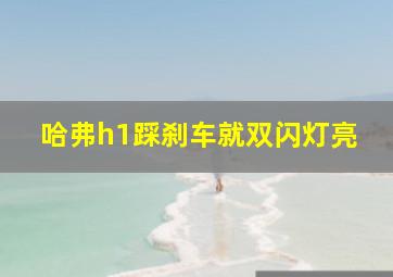 哈弗h1踩刹车就双闪灯亮