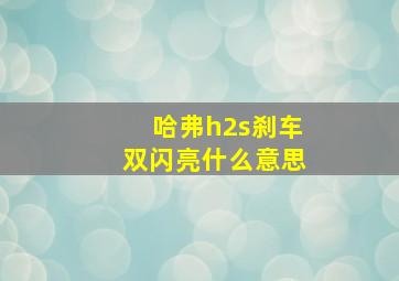 哈弗h2s刹车双闪亮什么意思