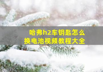 哈弗h2车钥匙怎么换电池视频教程大全