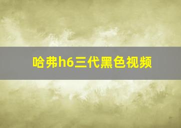 哈弗h6三代黑色视频