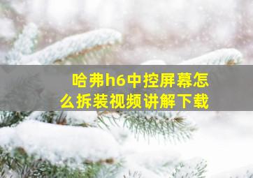 哈弗h6中控屏幕怎么拆装视频讲解下载