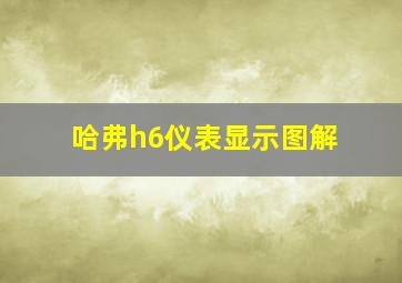 哈弗h6仪表显示图解