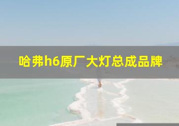 哈弗h6原厂大灯总成品牌