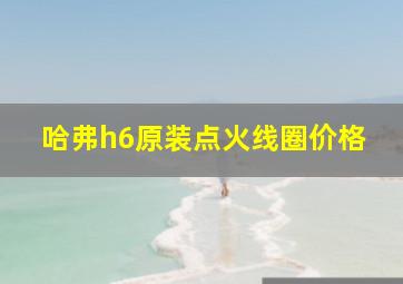 哈弗h6原装点火线圈价格