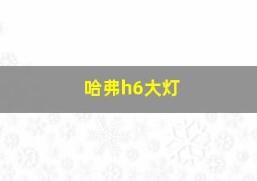 哈弗h6大灯