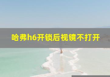 哈弗h6开锁后视镜不打开