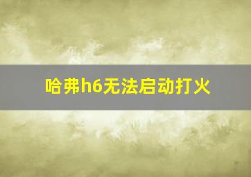 哈弗h6无法启动打火